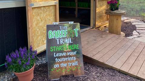 The Barefoot Trail