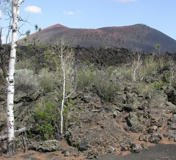 sparse trees among volcanic rocks at Sunset Crater Volcano in Flagstaff