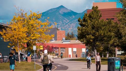 Fall trees dot the campus of Northern Arizona University.
