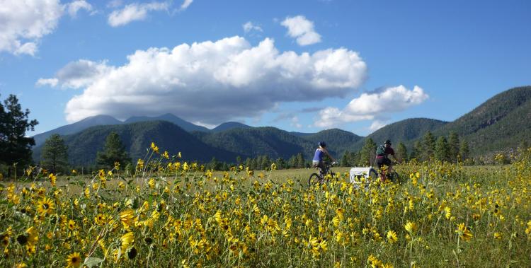 Buffalo Park | Flagstaff, AZ | Craft Brewing