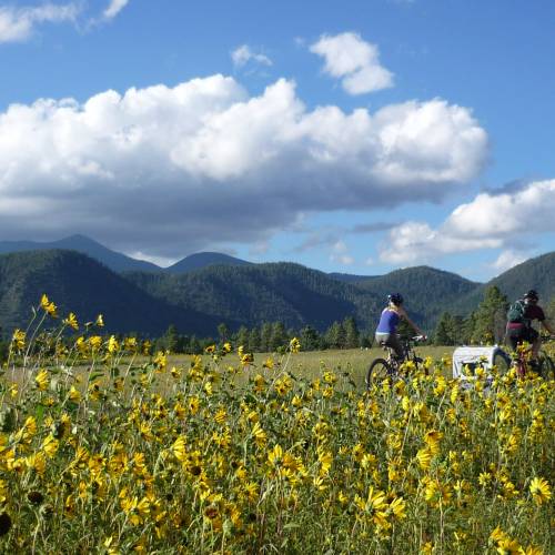 Buffalo Park | Flagstaff, AZ | Craft Brewing