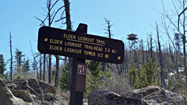 Mount Elden Lookout Trail | Flagstaff, AZ | Craft Brewing