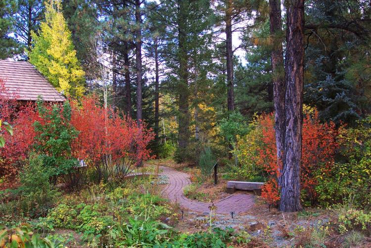 Flagstaff Arizona Arboretum red and yellow Fall leaves