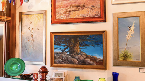 Several pictures on a gallery wall