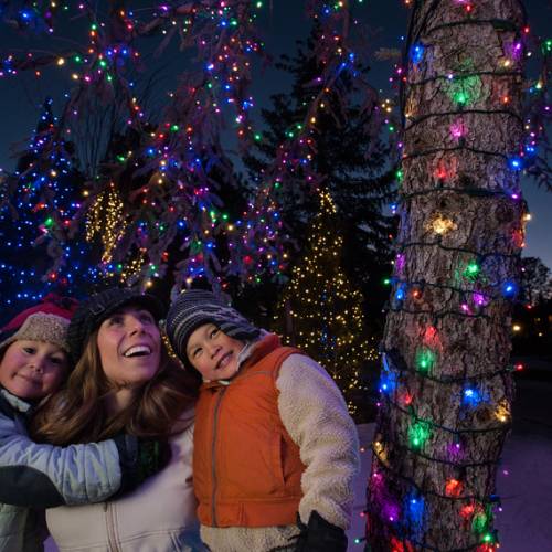 mom and her two children bundled up and admiring Christmas lights in Flagstaff