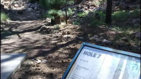 NAU Disc Golf Course sign