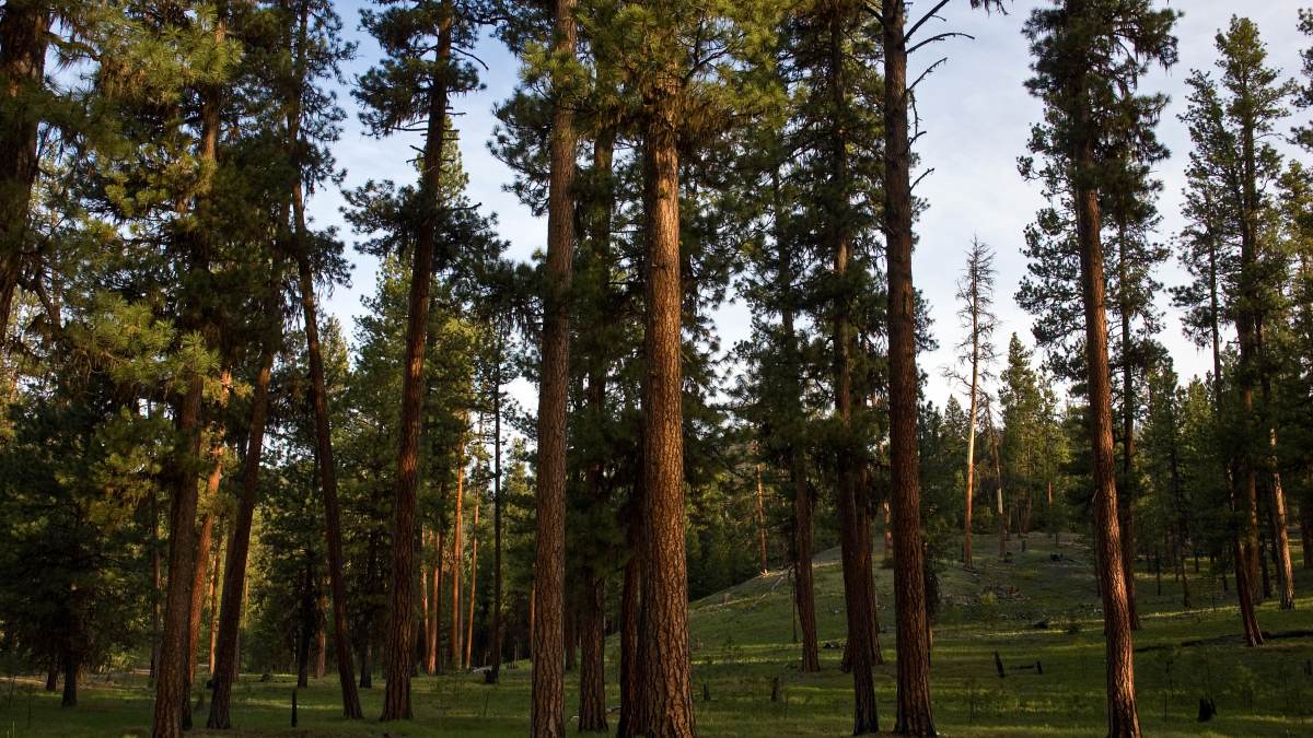 As published by Lonely Planet