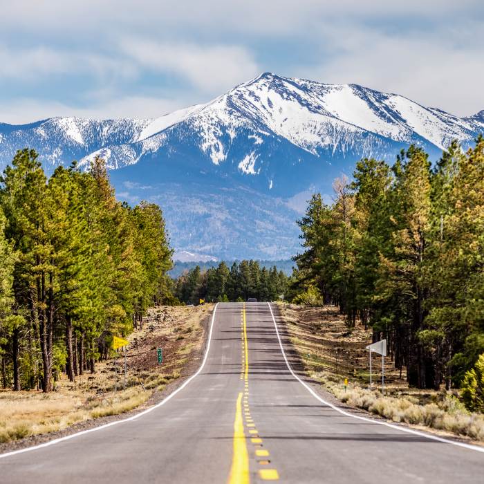 long straight road to the snow-capped mountains with evergreen trees on either side