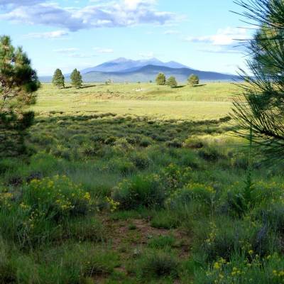 View of Sycamore Canyon | Discover Flagstaff AZ | Hiking | Outdoors