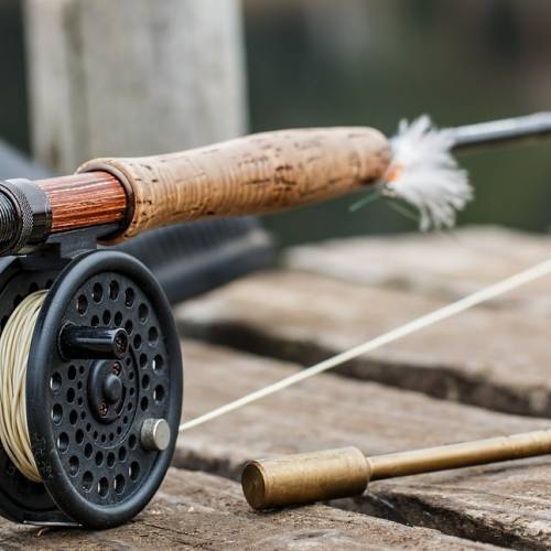 fishing pole and reel