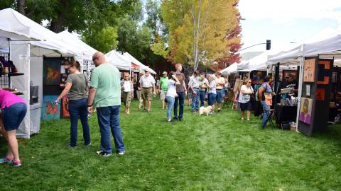people admire artworks at Art In The Park on the grass in downtown Flagstaff