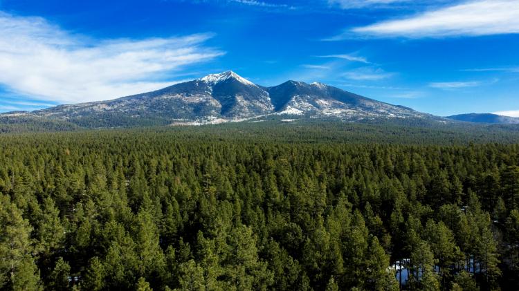Snowy Flagstaff peaks with a large green pine forest
