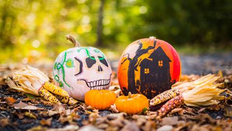 Painted Halloween pumpkins