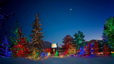 North Pole Experience