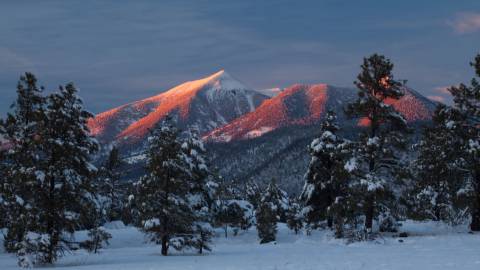 Tom Alexander Photography