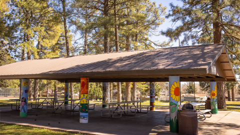 Coconino County Parks and Recreation