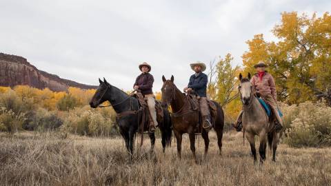 Q Media - Photography/Filmmaking