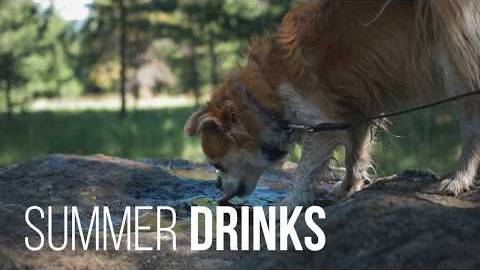 Visit Flagstaff in August