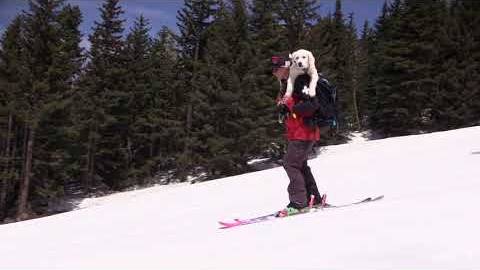 Visit Flagstaff in February