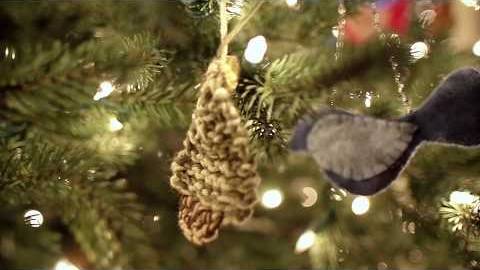 The Great Pinecone Drop