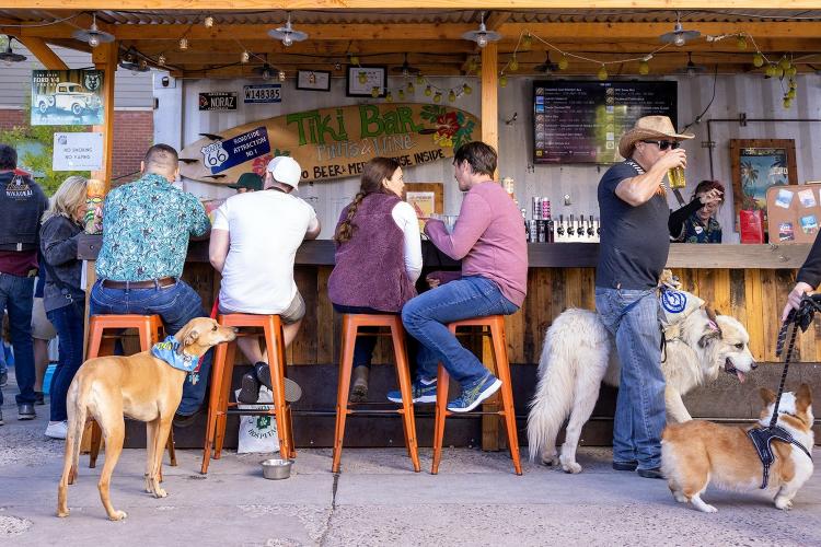 patrons enjoy pints of craft beer with their dogs on the patio at Mother Road Brewing Company
