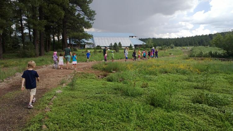 Kids walking in the outdoors at the Arboretum