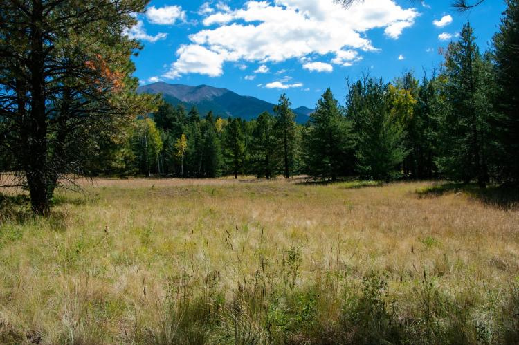 A trail leading to a lush forest, alpine meadow, and a lake