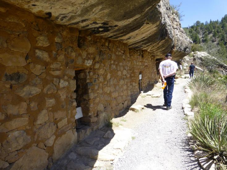 Flagstaff forest bathing walnut canyon