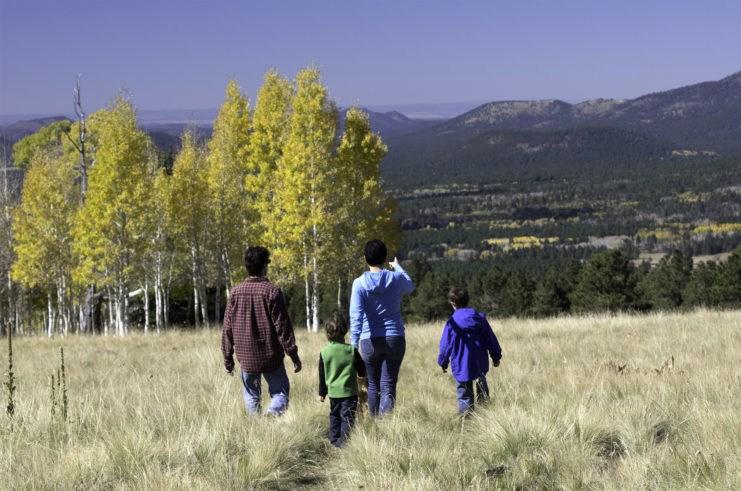 A family hiking through a field toward golden aspen trees in Flagstaff