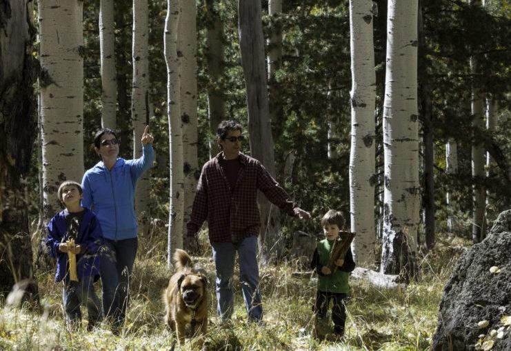 A family of four and their dog hiking through the aspen trees in fall.