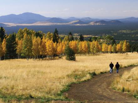 hikers on trail in the fall