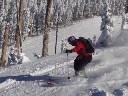 A skier in a red jacket descends down a snowy mountain slope, kicking up snow behind his skis in Flagstaff, Arizona