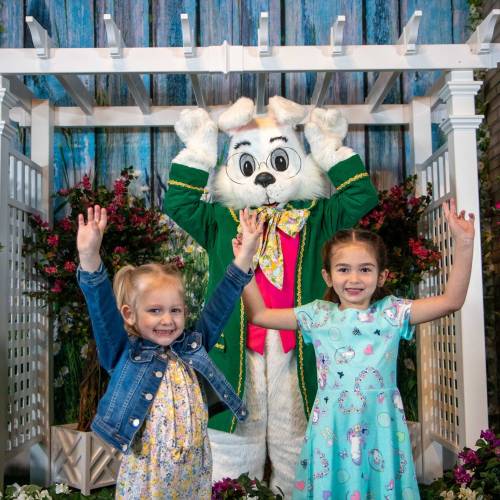 2025 Flagstaff Festivals Discover Flagstaff