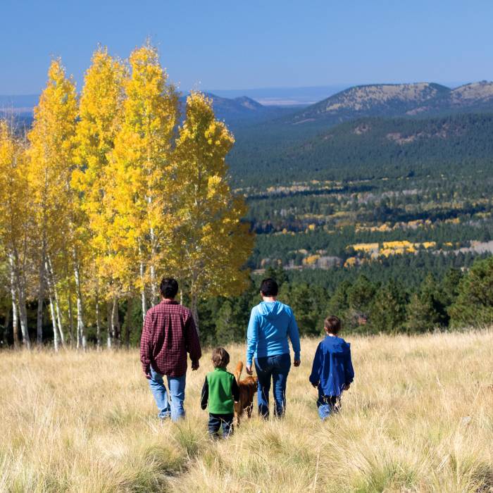 Family Hiking At Hart Prairie