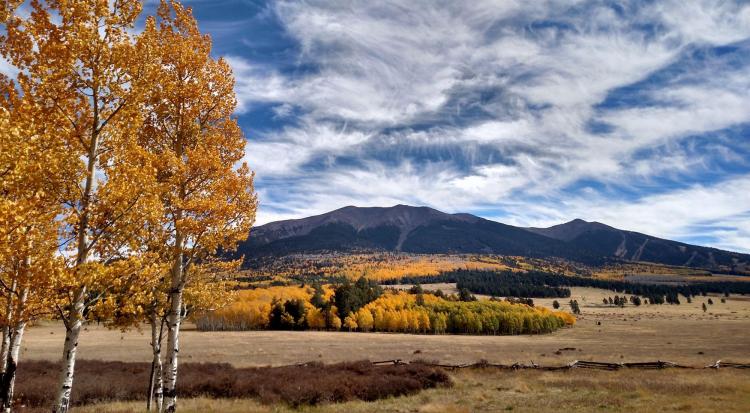 Fall colors on the San Francisco peaks on a partly cloudy day in Flagstaff