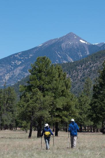 two people hiking through a field toward a mountain at Buffalo Park in Flagstaff, AZ