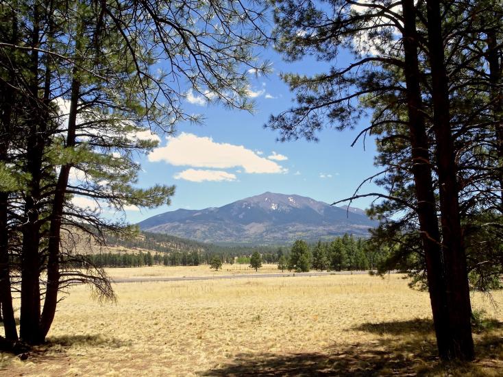 View of Kendrick Park | Discover Flagstaff AZ | Hiking | Outdoors