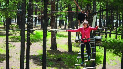 A woman ventures through the Flagstaff Extreme Adventure course in a wooded setting.