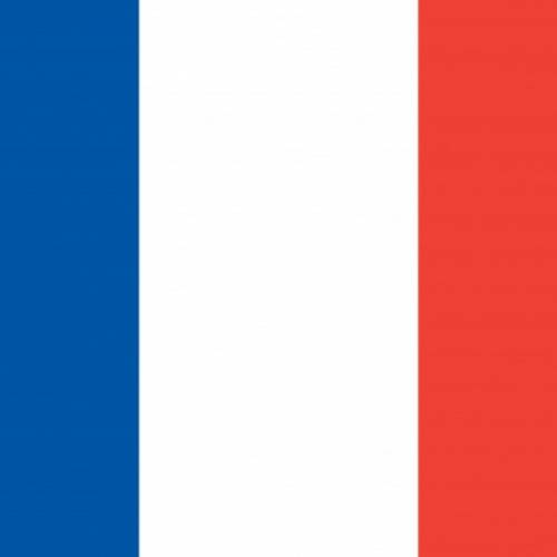 french flag