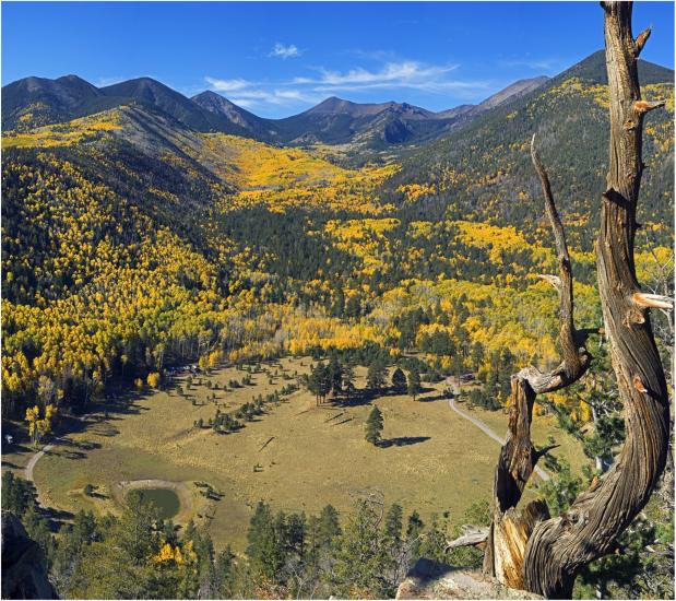 places to visit in flagstaff during fall