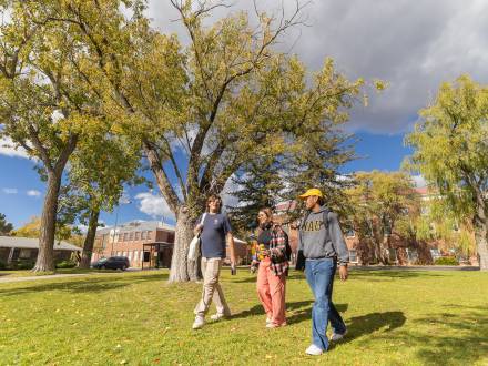 NAU students chatting and walking in the grass in north campus.