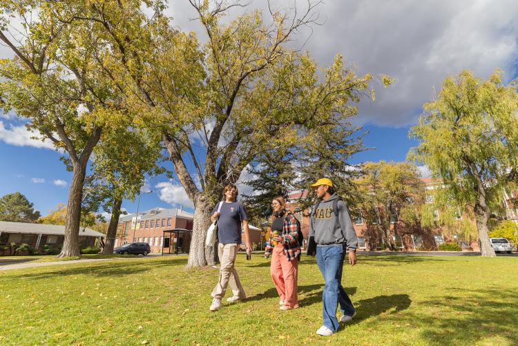 NAU students chatting and walking in the grass in north campus.