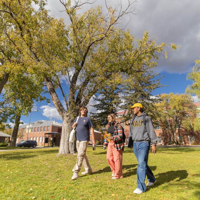 NAU students chatting and walking in the grass in north campus.