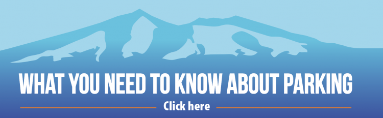 Park Flag What You Need To Know