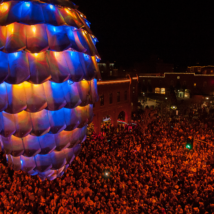 Pinecone drop on New Year&#039;s Eve