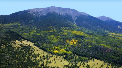 aerial view of humphrey peak on a sunny fall day in Flagstaff, AZ