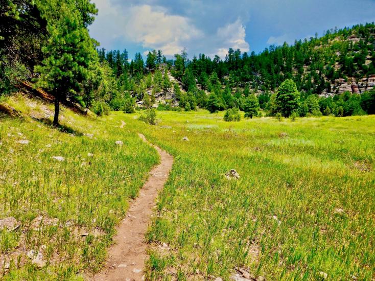 View of Sandys Canyon | Discover Flagstaff AZ | Hiking | Outdoors