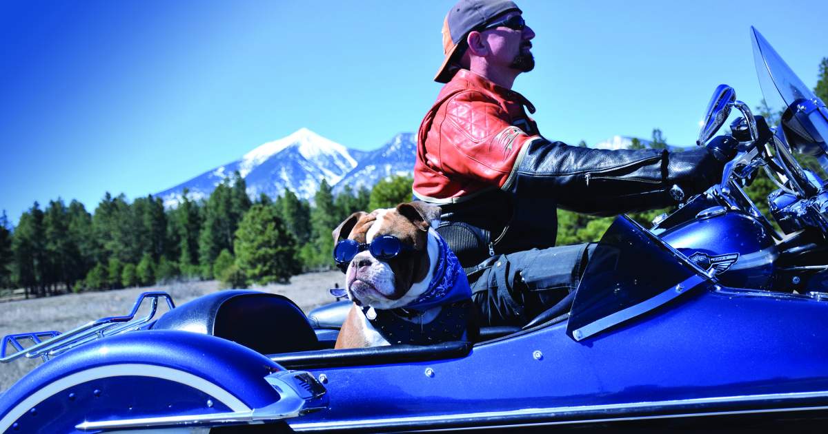 Car Rentals Discover Flagstaff