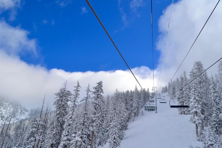 Flagstaff Snow 2024 Aurel Caresse