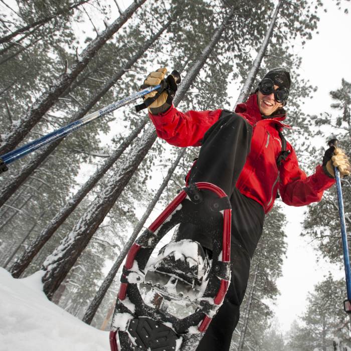 winter hiker with snowshoes